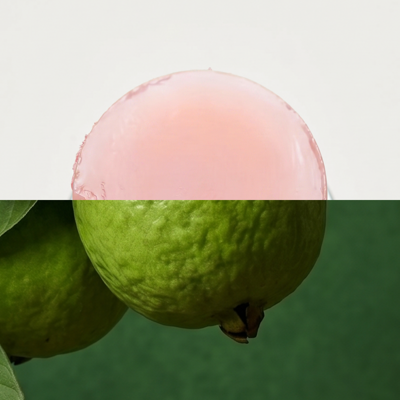 Sole (Sun) · Guava